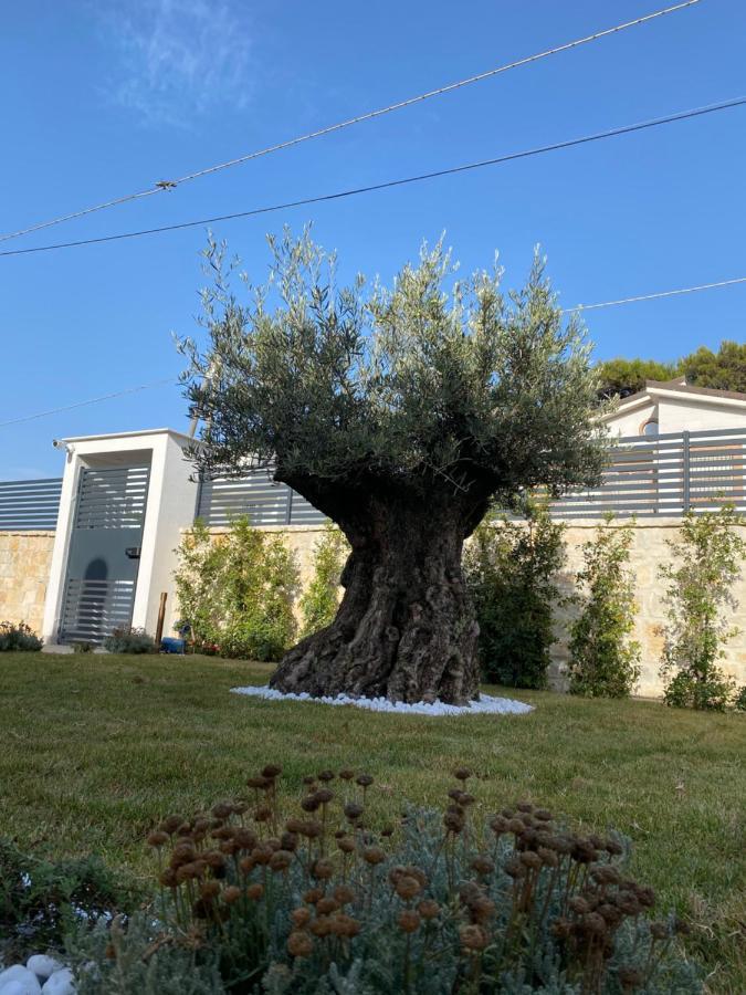 Villa Palladino Rooms Giovinazzo Eksteriør billede